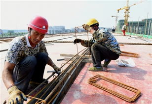 聚一蝦整肢蝦生產項目進展順利，建筑智能化系統設計助力高效試生產